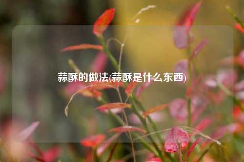 蒜酥的做法(蒜酥是什么东西)