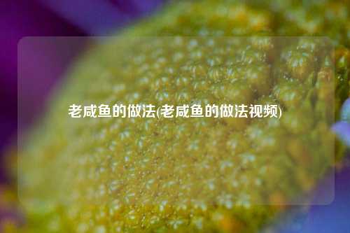 老咸鱼的做法(老咸鱼的做法视频)