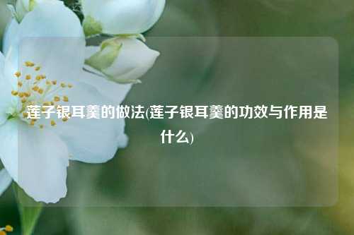 莲子银耳羹的做法(莲子银耳羹的功效与作用是什么)