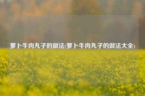 萝卜牛肉丸子的做法(萝卜牛肉丸子的做法大全)