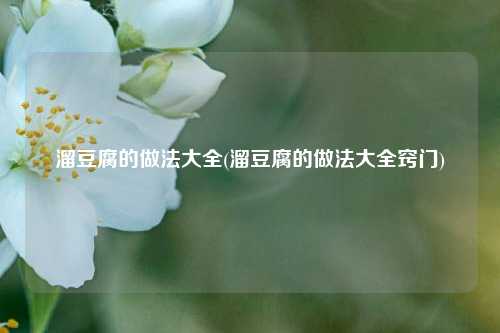溜豆腐的做法大全(溜豆腐的做法大全窍门)