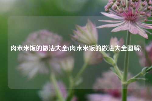 肉末米饭的做法大全(肉末米饭的做法大全图解)