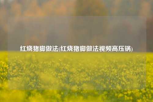 红烧猪脚做法(红烧猪脚做法视频高压锅)