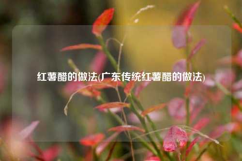 红薯醋的做法(广东传统红薯醋的做法)