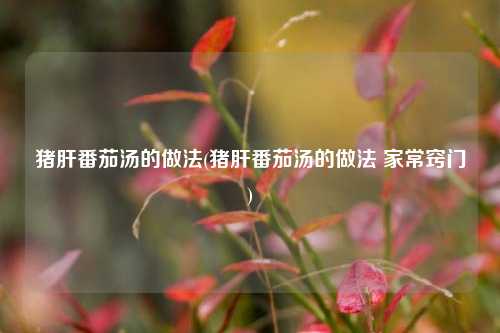 猪肝番茄汤的做法(猪肝番茄汤的做法 家常窍门)