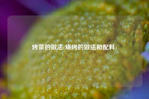 烤菜的做法(烧烤的做法和配料)