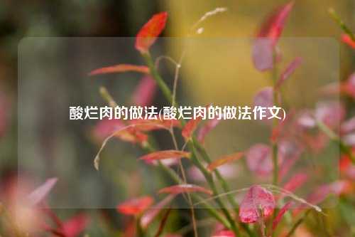 酸烂肉的做法(酸烂肉的做法作文)