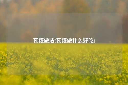 瓦罐做法(瓦罐做什么好吃)