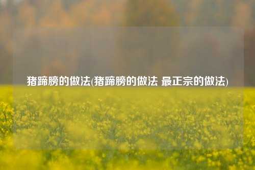 猪蹄膀的做法(猪蹄膀的做法 最正宗的做法)