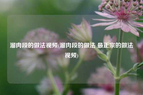 溜肉段的做法视频(溜肉段的做法 最正宗的做法视频)
