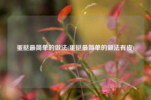 蛋挞最简单的做法(蛋挞最简单的做法有皮)
