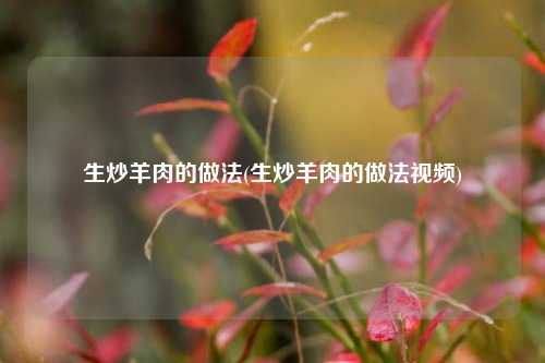 生炒羊肉的做法(生炒羊肉的做法视频)
