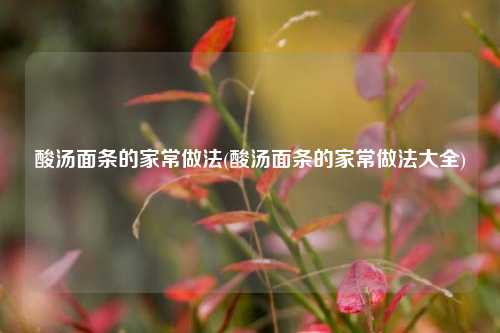 酸汤面条的家常做法(酸汤面条的家常做法大全)