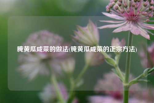 腌黄瓜咸菜的做法(腌黄瓜咸菜的正宗方法)