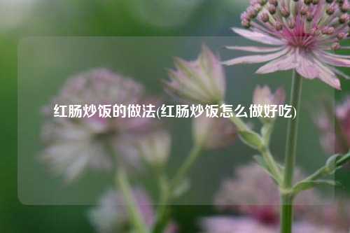 红肠炒饭的做法(红肠炒饭怎么做好吃)