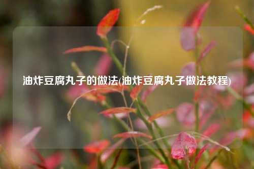 油炸豆腐丸子的做法(油炸豆腐丸子做法教程)