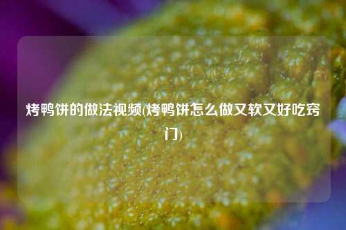 烤鸭饼的做法视频(烤鸭饼怎么做又软又好吃窍门)