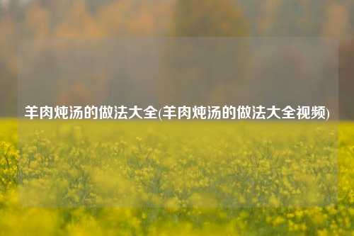 羊肉炖汤的做法大全(羊肉炖汤的做法大全视频)