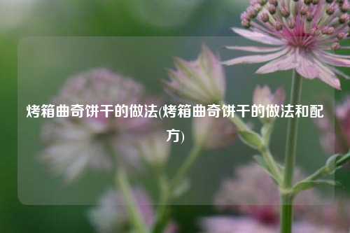 烤箱曲奇饼干的做法(烤箱曲奇饼干的做法和配方)